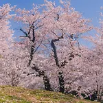 OYO Hotel Exsaison Sugamo