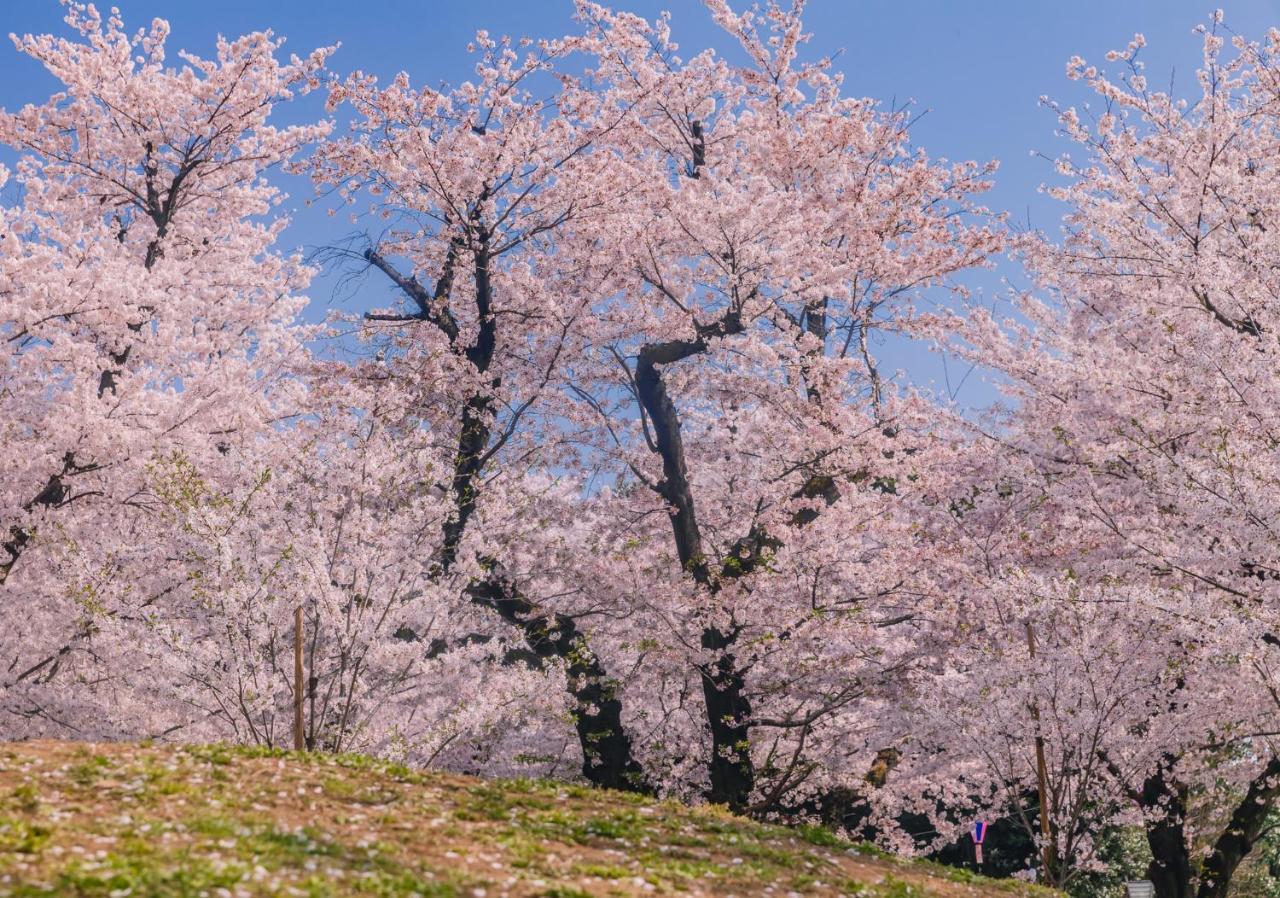 Hotel Oyo Exsaison Sugamo Präfektur Tokio